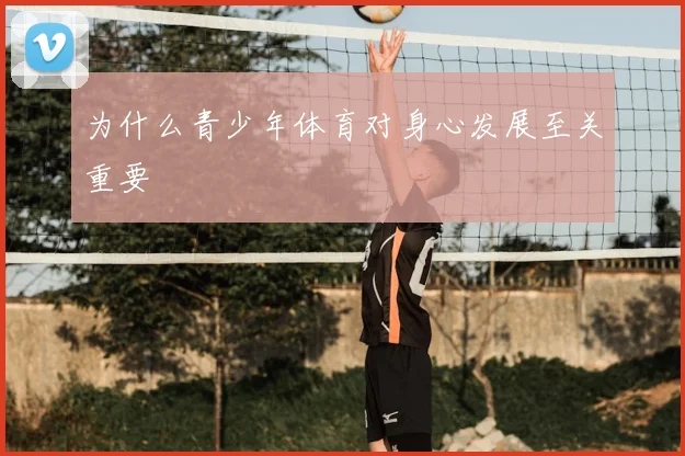 为什么青少年体育对身心发展至关重要